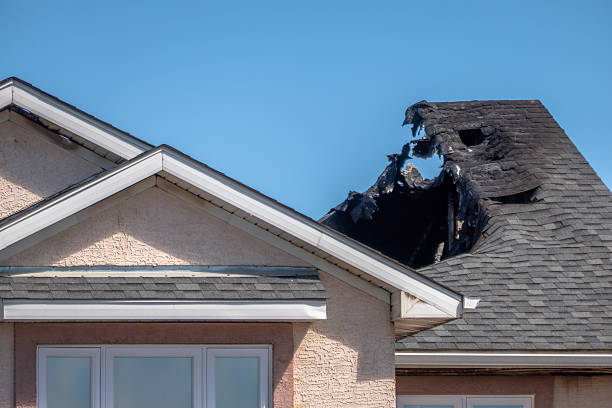 Top rated local Board Up Services specialists in Auburn, KY